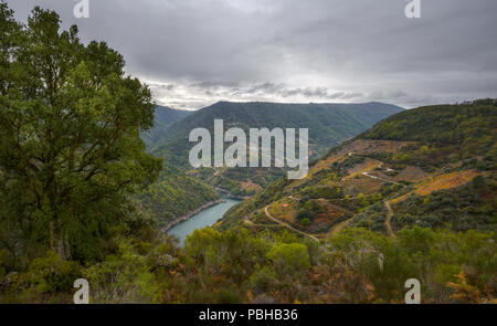 El `profundo valle del río Sil con sus viñedos aterrazados en la Ribeira Sacra de Sober Stock Photo